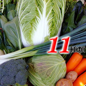 ƂꂽĖ 11ރZbg lߍ킹 mY VsEǉ@\t  VN  nY ܂ ؖȓ Mtg yY Yn Y lߍ킹 N[ VN t  