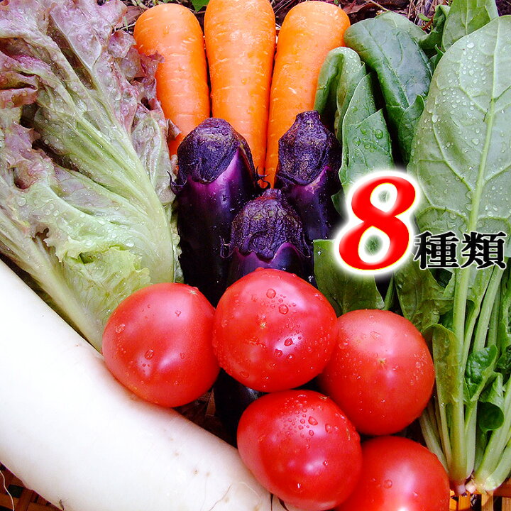 楽天市場 とれたて野菜 ８種類セット詰め合わせ 高知産 レシピ 追加機能付き 送料無料 Qv10 詰め合わせ クール便 新鮮 葉物 根菜 香味 定番 野菜 翌日発送も可 土佐 四国 西日本 野菜ジュース Cool Delivery アグリファーム高知