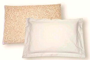 Ђ̂ TCY P[Xt mYЂ̂100gp 35cm×50cm×8cm VRf ˖، ܂ }N w qmL hinoki VOTCY    QԂ т N V Mtg 