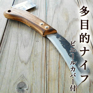 ړIiCt \iCt rj[Jo[t   100mm 2 n ZAKURI yŐn AEghA Lv R؍̂ |׍H  |Ƃ |Ђ؂o ؍މH Rb jap