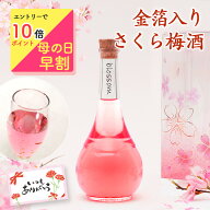 [先着300円OFFクーポン★P10倍要エントリー]梅酒 母の日 早割 プレゼント お酒 ギフト 女性 かわいい 可…