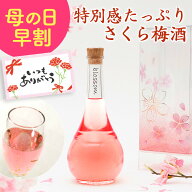 [先着400円OFFクーポン★エントリーで最大P10倍]梅酒 母の日 早割 プレゼント お酒 ギフト 女性 かわいい…