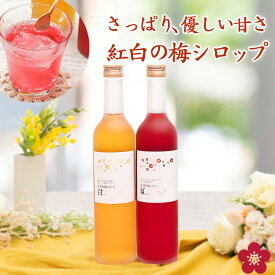 梅シロップ 梅ジュース プレゼント ギフト 夏ギフト 中元 ノンアル ノンアルコール 贈り物 希釈用 オリゴ糖配合でヘルシー！ 濃縮ジュースタイプで水や炭酸割りで梅ジュースが作れる！ 花以外 ma08