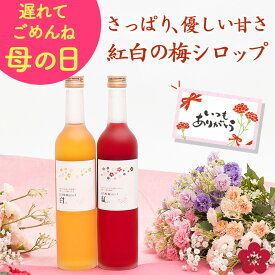 梅シロップ 梅ジュース 母の日 遅れてごめんね プレゼント ギフト ノンアル ノンアルコール 贈り物 希釈用 オリゴ糖配合でヘルシー！ 濃縮ジュースタイプで水や炭酸割りで梅ジュースが作れる！ 花以外 ma05