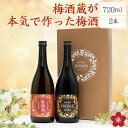 梅酒 飲み比べセット ギフト 送料無料 贈り物 GI和歌山梅酒 指定 本格梅酒 紅南高 長期熟成 長久 日本一 グランプリ 受賞 UMESHUfor ma11 お歳暮 冬ギフト
