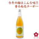 梅酒ヌーボー 梅酒の新酒を味わう香る南高NOUVEAUヌーボー 1800ml パーティー nouveau ヌーヴォー 希少価値 和歌山 紀州南高梅 正規取扱 中野BC UMESHUfor