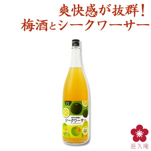 IB̔~ƃV[N[T[ 1800ml ꏡr JNe~ Â~ t[eB[ ς bN \[_ AW ɍ a̎R 썂~ UMESHUfor