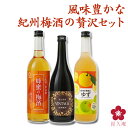 蜂蜜梅酒 プレゼント 梅酒 手土産 お酒 720ml 四合瓶 和歌山贅沢梅酒 お返し 受賞 飲み比べ ミニボトル！紅南高 みかん梅酒 健康 お祝い 内祝い 中野BC 長久庵 UMESHUfor ma10-10
