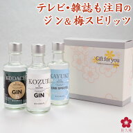 [P10倍要エントリー]クラフトジン ジン お酒 テイスティングセット 父の日 母の日 富士白蒸留所 送料無料…