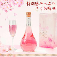 [エントリーでP10倍]梅酒 母の日 プレゼント お酒 ギフト 誕生日プレゼント 手土産 女性 かわいい 可愛い…