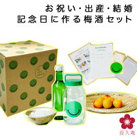 梅酒 手作り セット 果実酒ギフト NIJYUMARU ニジュウマル テレビ ハタチ 成人のお祝い キット 梅酒用 梅 青梅 南高梅 梅酒の実 瓶 作り方 ホワイトリカー 梅しごと 漬け込み瓶 35度 梅仕事 果実酒 にじゅうまる タイムカプセル