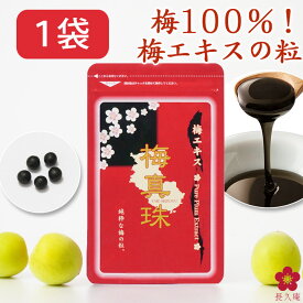 梅肉エキス 梅エキス 粒 クエン酸 健康食品 サプリ 国産 ムメフラール 元気 無添加 国産 健康 予防 対策 送料無料 食品 新聞 日本一すっぱい ファミリー 世界一 梅真珠 ウメテルペン[730410] 元気ノ国 ss12