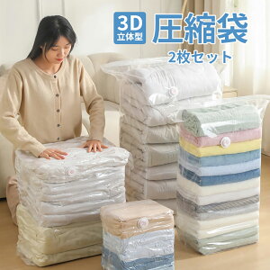立体圧縮袋 衣類圧縮袋 衣類 収納 立体 圧縮袋 圧縮ボックス 押すだけ バッグ 立体タイプ 防塵 カビ対策 スーツケース 衣替え 子供服 ふとん 夏物 冬物 透明