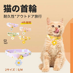 L  Lp t  ybg  obN  lR  ^Kp y S