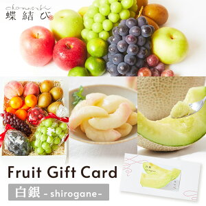 MtgJ[h  -shirogane- t[c Mtg MtgJ[h J^O MtgJ^O Mtg ʕ Ε Ε v[g a j  oY Ԃ ii j 20000~  