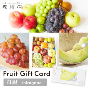 MtgJ[h  -shirogane- t[c Mtg MtgJ[h J^O MtgJ^O Mtg ʕ Ε Ε v[g a j  oY Ԃ ii j 20000~  