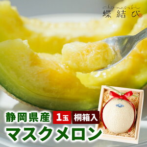 10420|Cg5{ }XN y1ʋ˔z  ÉY A[} NE v[g  蕨 t[c pt[c p a 