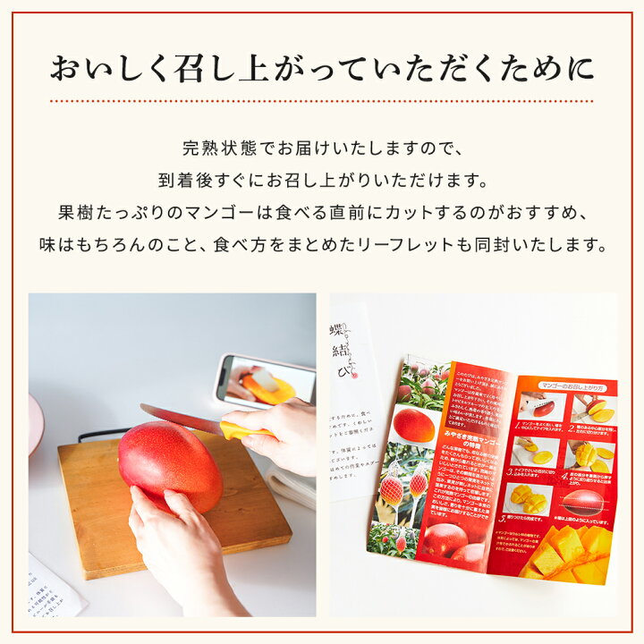 楽天市場】母の日 完熟マンゴー 2玉 マンゴー 宮崎 沖縄 県産 母の日 