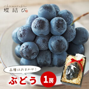 i킨܂ Ԃǂ 1[ Ԃǂ uhE  sI[l iKmp[v NCj[i@ NC[W t[c t[cMtg a j   Cj  Mtg  