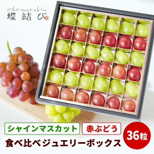 VC}XJbg ƐԂԂǂ  WG[{bNX 36 y  zHׂ 2 Ԃǂ  }XJbg ԂԂǂ NC[[W  ʕ t[c Mtg a j 