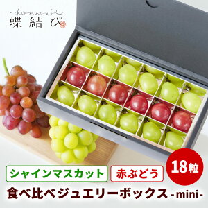 VC}XJbg  ԂԂǂ  WG[{bNX - mini - 18 Hׂ 2 uhE  NC[[W  Ԃǂ Hה t[c a j  Mtg l b