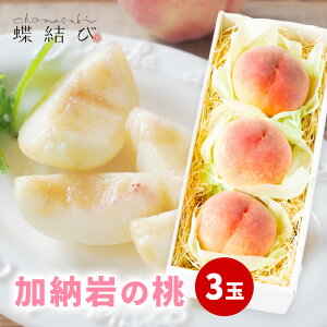 _9420P5{^ [̓ 3 yzwsz܂邩̓ R [    ʕ t[c Mtg t[cMtg  䒆 ăMtg  a j 