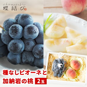_9420P5{^ ȂsI[lƉ[̓2 yzwszԂǂ sI[l Ȃ ܂邩̂   ʕ t[c Mtg t[cMtg v[g  䒆 