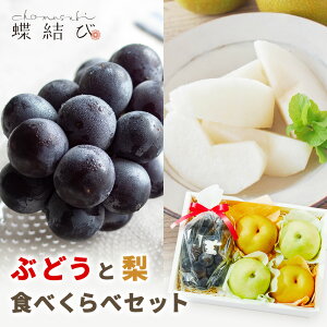 i킨܂ Ԃǂ   Hׂ Zbg y  z  sI[l iKmp[v NCj[i NC|W Ȃ ԗ  \I K ʕ t[c a j  