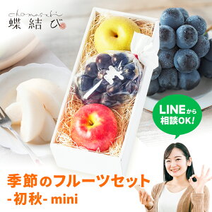 G  t[cZbg -H-mini- Ԃǂ  Ȃ  hV̓ hV̓Mtg LINEkOK ʕ t[c Mtg v[g H a j 蕨 Ԃ  ފ j l b