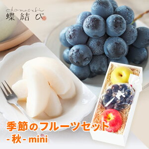 G  t[cZbg -H-mini- Ԃǂ  Ȃ  Mtg ʕ t[c Mtg v[g H t[c pt[c p a j 蕨 a  j l b