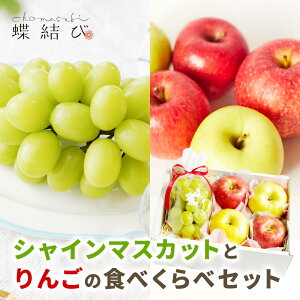 VC}XJbg   Hׂ׃Zbg y  z Ԃǂ ь VimXC[g gL Hf ӂ i ʕ t[c Mtg v[g t[c 蕨 p a 