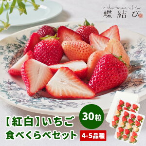 y11ȍ~͂zg  Hׂ -DXZbg- 30 yz Hה W ܂ ܂Ђ Ȃ4`5 uh ʕ Ε Ε N ii j j 