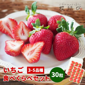 y11ȍ~͂z Hׂ -DXZbg- 30 y  zC`S  Hה Â ܂  Ȃ3`5 uh ʕ t[c Mtg t[cMtg v[g