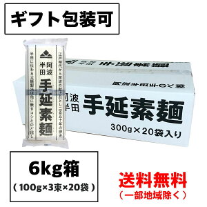 Mtg c߂ (艄) 6kg (100g×3×20) gĉׁî Mtgj 蔭 艄 f ikCEkEꏜj