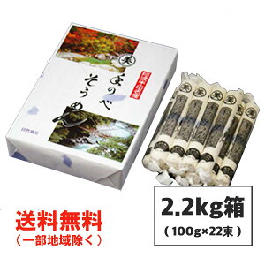 Ε Mtg n c߂îׁj 2.2kg (100g×22) Mtg 蔭 ikCEkEꏜj