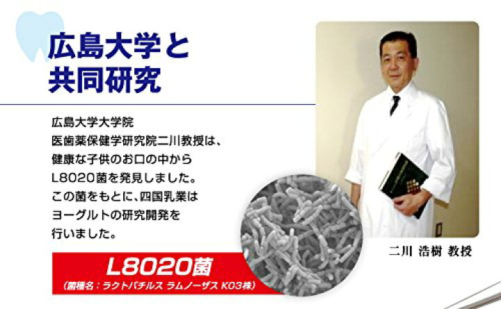 楽天市場 らくれん 80 飲むヨーグルト 110ml 12本入 クール便配送 お得に選べるフードショップ 楽天市場 らくれん 80 飲むヨーグルト 110ml 12本入 クール便配送 お得に選べるフードショップ