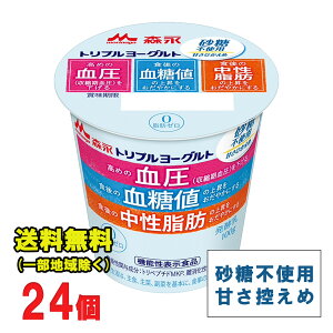 Xi gv[Og sgp b[ 100g ×24Zbg yLZAԕiszyN[ցz
