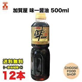 かがや 味一 アジイチ 500mlペット×12本 盛田 箱買い 加賀屋醤油 総合万能調味料 送料無料（北海道・東北・沖縄除く）