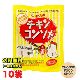 光食品 チキンコンソメ 液体タイプ (10g×8包入)×10袋 鶏がらスープ 無添加 送料無料（北海道・東北・沖縄除く）