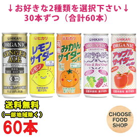 選べる60本 光食品 有機・オーガニックサイダー まとめ買い ジンジャーエール/レモン/みかん＋レモン/みかん＋レモン/ぶどう/アップル＋レモンなど 250ml缶 30本×2ケース 炭酸飲料