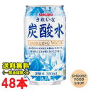 サンガリア きれいな炭酸水350ml缶×24本×2ケース 送料無料（北海道・東北・沖縄除く）