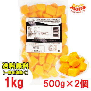 Ⓚ }S[ `N gsJ}A 500g×2 Ɩp Xg }S[ ikCEkEꏜj