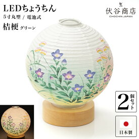 盆提灯 ミニサイズ テーブルライト おしゃれ LED 5寸丸 提灯 「 桔梗 グリーン 」( 2個セット ) 盆ちょうちん お盆提灯 ミニ コードレス 花 新型 初盆 電池式 電池式 お盆 提灯 お彼岸 お盆飾り 新盆 お供 御供 御仏前 初盆 セット 初盆提灯 お盆用品 コンパクト 小型