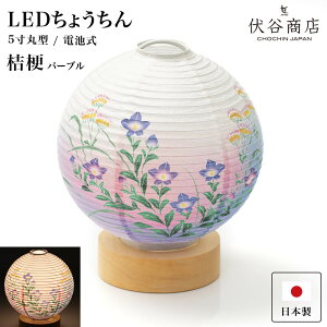 ~ ~jTCY e[uCg  y LED 5 . j[ p[v z ~傤 ~ ~j _ R[hX  V^ Vv ~ dr dr ~  ފ ~
