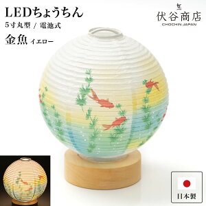 ~ ~jTCY e[uCg  y LED 5   CG[ z ~傤 ~ ~j _ R[hX  V^ Vv ~ dr dr ~  ފ ~