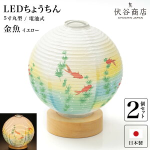 ~ ~jTCY e[uCg  y LED 5   CG[ z( 2Zbg ) ~傤 ~ ~j R[hX  V^ ~ dr dr ~  ފ ~ 
