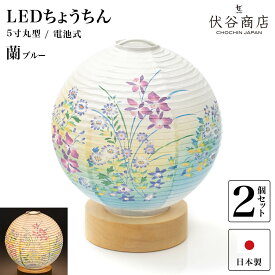 盆提灯 ミニサイズ テーブルライト おしゃれ 【 LED 5寸丸 提灯 蘭 ブルー 】( 2個セット ) 盆ちょうちん お盆提灯 ミニ コードレス 花 新型 初盆 電池式 電池式 お盆 提灯 お彼岸 お盆飾り 新盆 お供 御供 御仏前 初盆 セット 初盆提灯 お盆用品 コンパクト 小型
