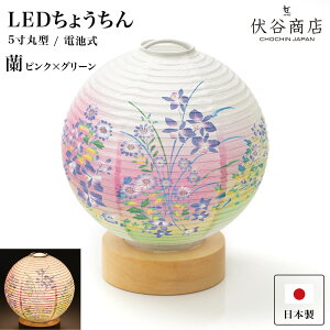 ~ ~jTCY e[uCg  y LED 5   sNO[ z~傤 ~ ~j _ R[hX  Vv ~ dr dr ~  ފ ~
