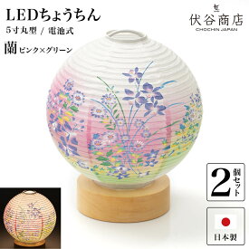 盆提灯 ミニサイズ テーブルライト おしゃれ 【 LED 5寸丸 提灯 蘭 ピンク＆グリーン 】( 2個セット ) 盆ちょうちん お盆提灯 ミニ コードレス 花 初盆 電池式 電池式 お盆 提灯 お彼岸 お盆飾り 新盆 お供 御供 御仏前 初盆 セット 初盆提灯 お盆用品 コンパクト 小型