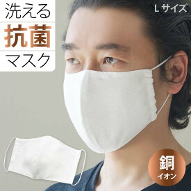 【 公式 】 マスク 日本製 洗える 銅マスク 抗菌 立体型 ( Lサイズ 1枚 入り ) 薄い 銅イオン 速乾 花粉 ホコリ 大人用 ( シンプルな光沢ストライプ ) 【 冬用 保湿 抗菌マスク 日本製 銅 イオン 在庫あり プレゼント mask 】 敬老の日